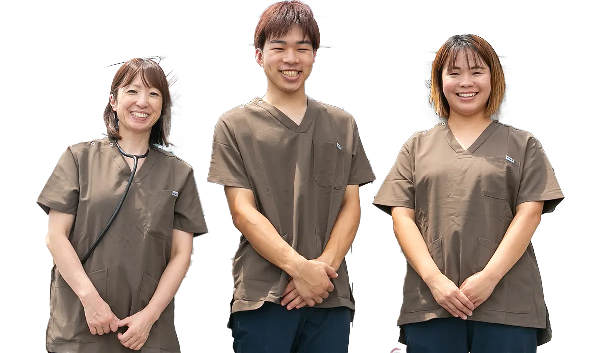 イメージ